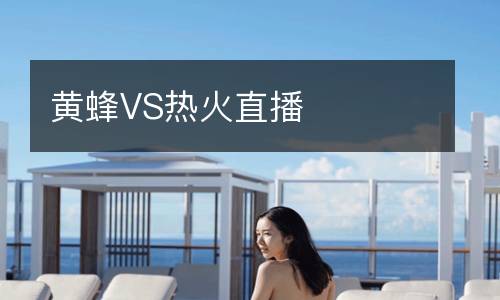 黃蜂VS熱火直播